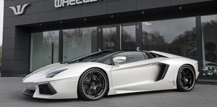 aventador suspension lowering kit